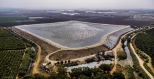 מאגר משמר השרון מצפור ויקר עפיפון מאגר מלא בשקנאים