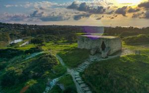השטח הירוק שמחבר לבבות: איך עמק חפר יוצר את המודל החדש לחיים קהילתיים