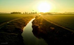 נחל אלכסנדר זריחה עם יונים