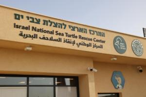 המרכז הארצי להצלת צבי ים, מכמורת